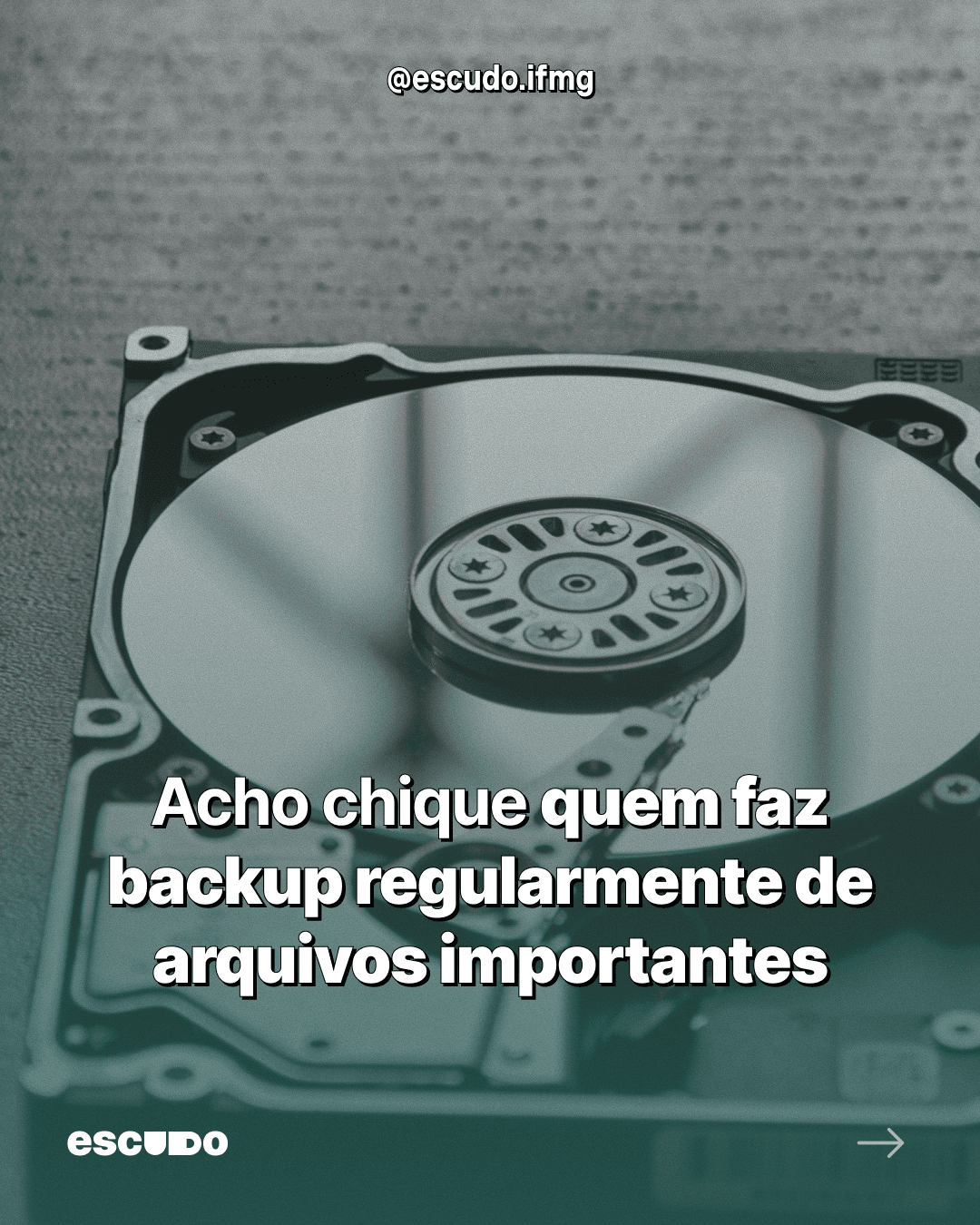 Postagens da Trend - Imagem 8